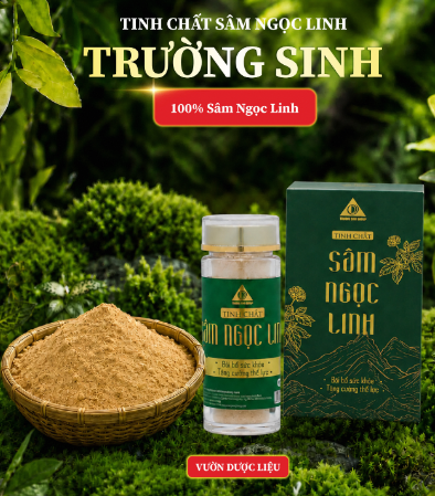 Tinh chất sâm Ngọc Linh tại Trường Sinh là một sự lựa chọn hoàn hảo cho bạn