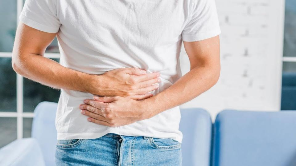 The Kidney encompasses many different bodily functions