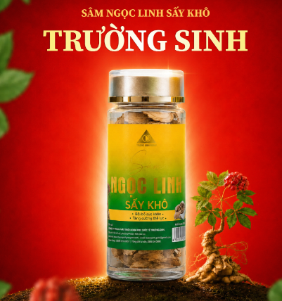 Sâm Ngọc Linh sấy khô của Trường Sinh là một sự lựa chọn an tâm