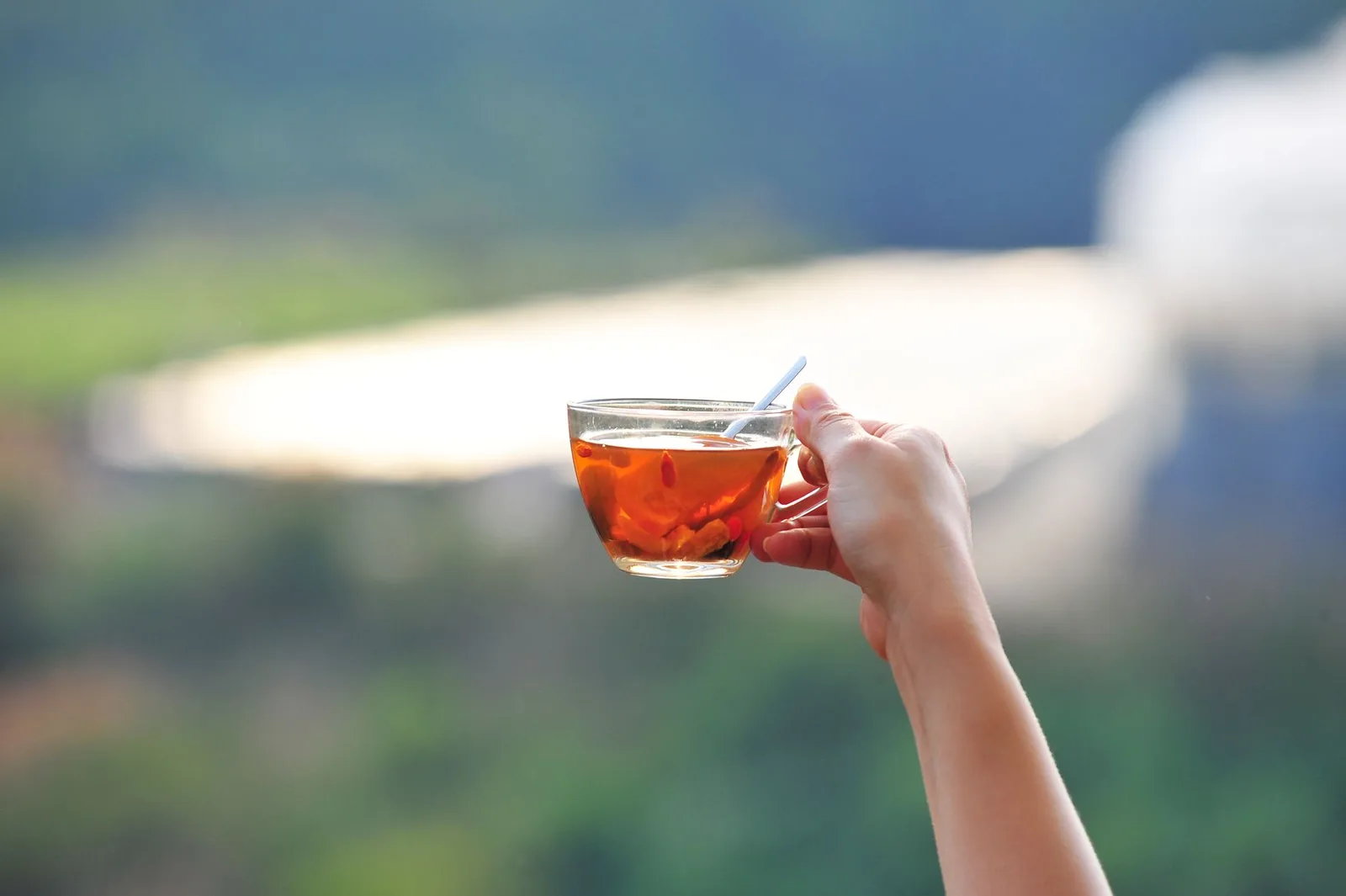 Tách trà thảo dược — Ảnh: Mai In May / Pexels