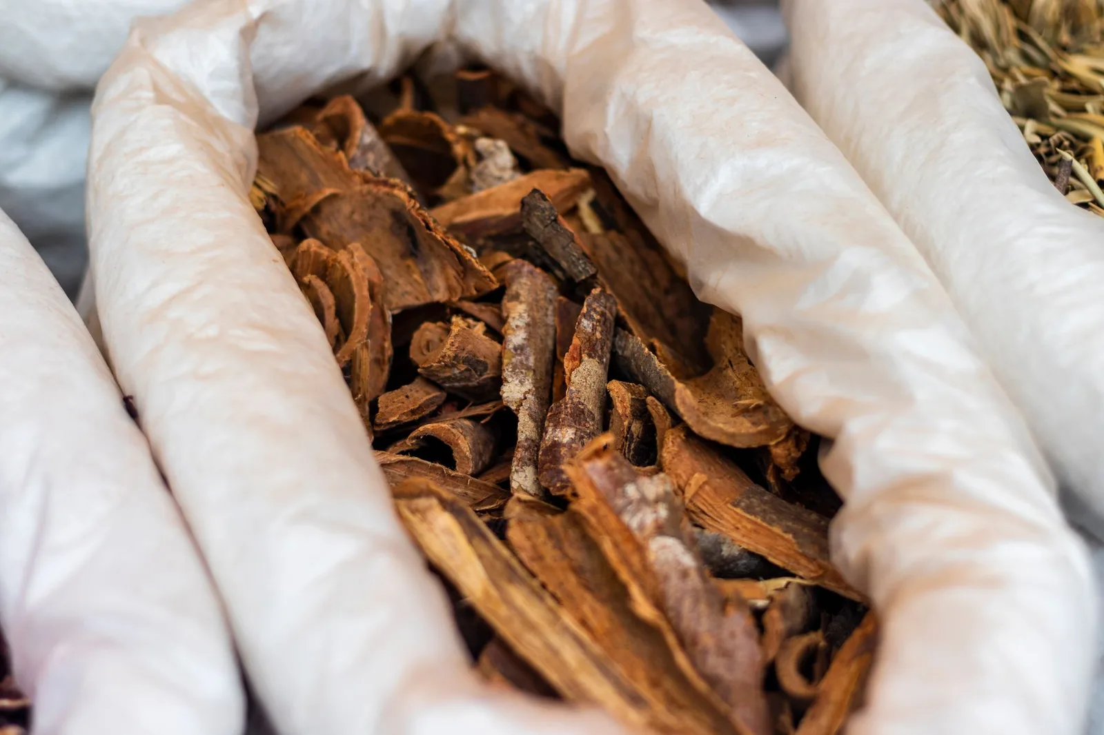Herbal roots being dried on drying trays — Photo: Evandro Paula Alves / Pexels