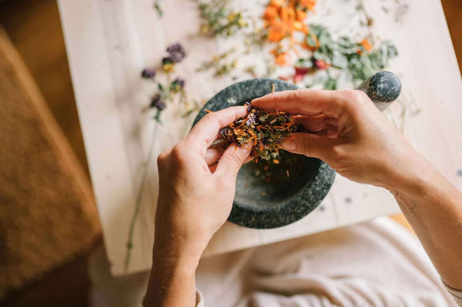 Hands carefully examining the features of dried medicinal roots — Photo: Yan Krukau / Pexels