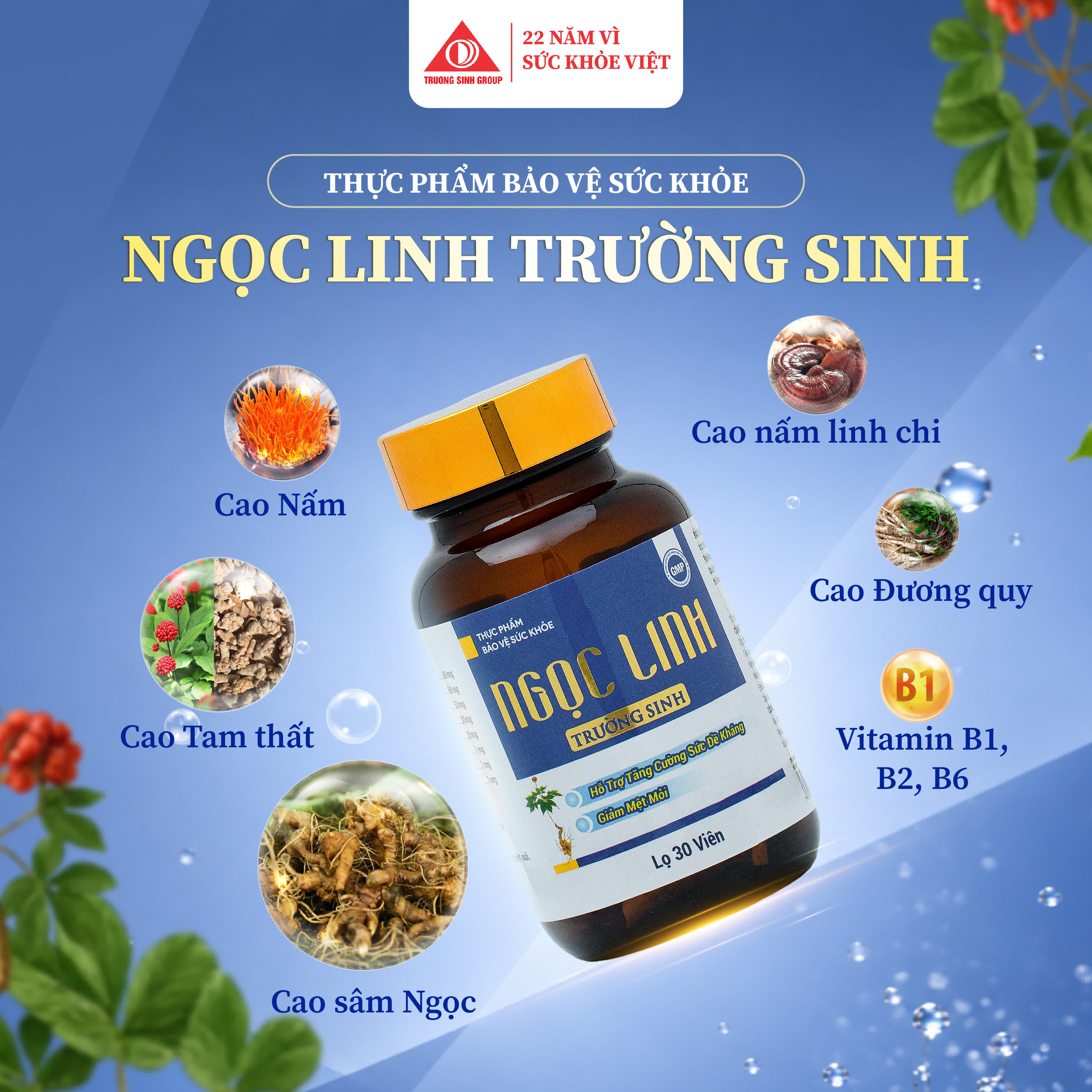 Ngọc Linh Trường Sinh 3