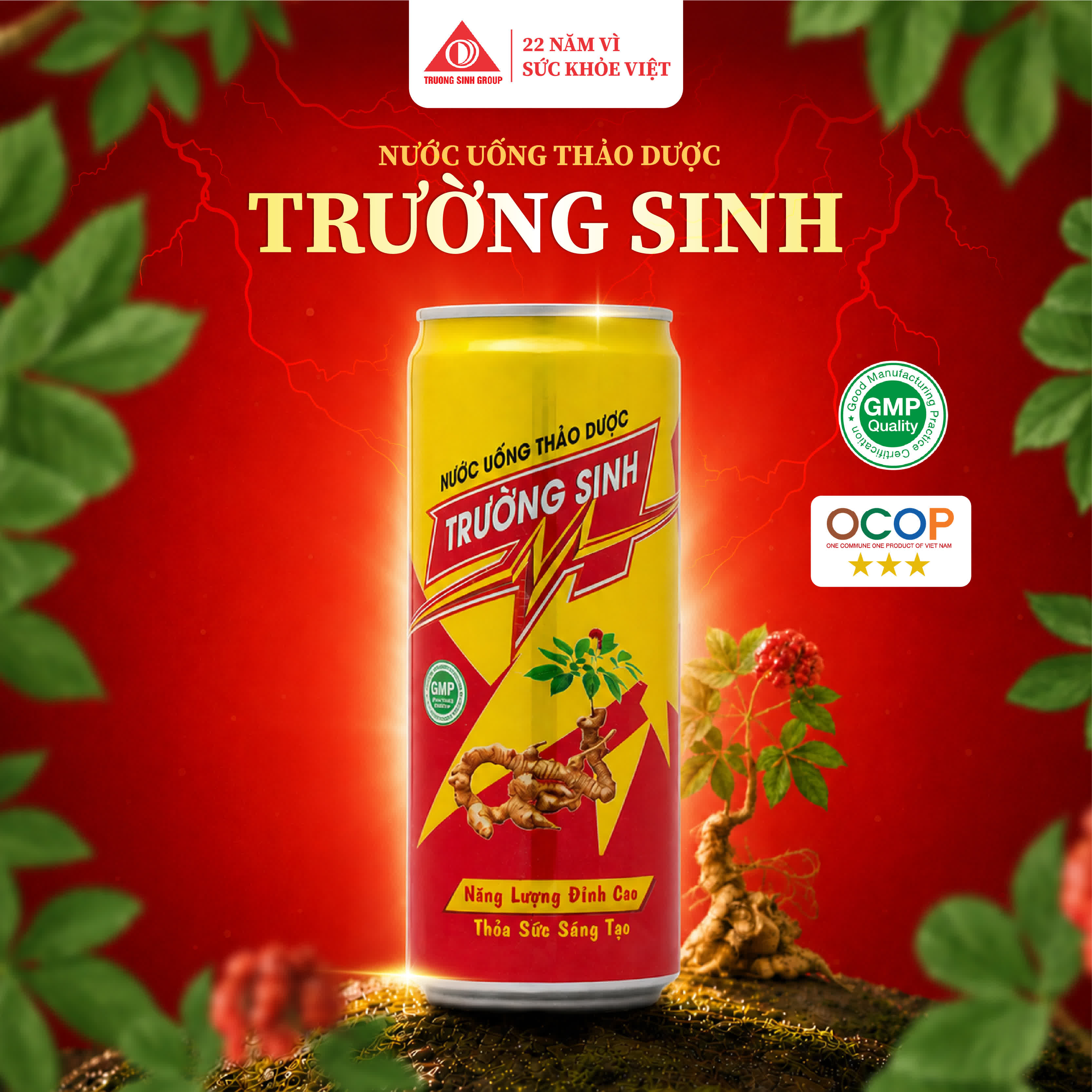 허브 음료 Trường Sinh 2