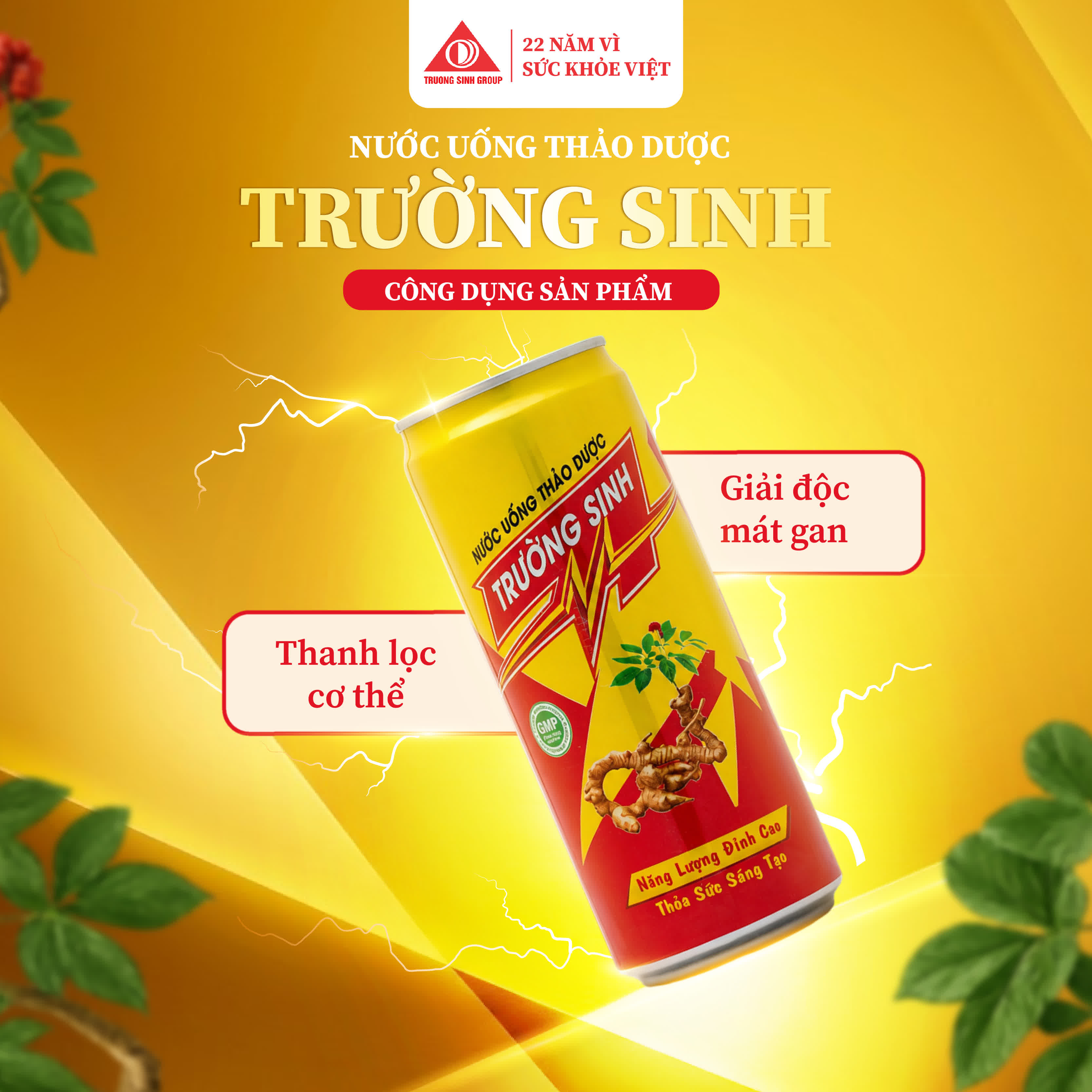 허브 음료 Trường Sinh 3
