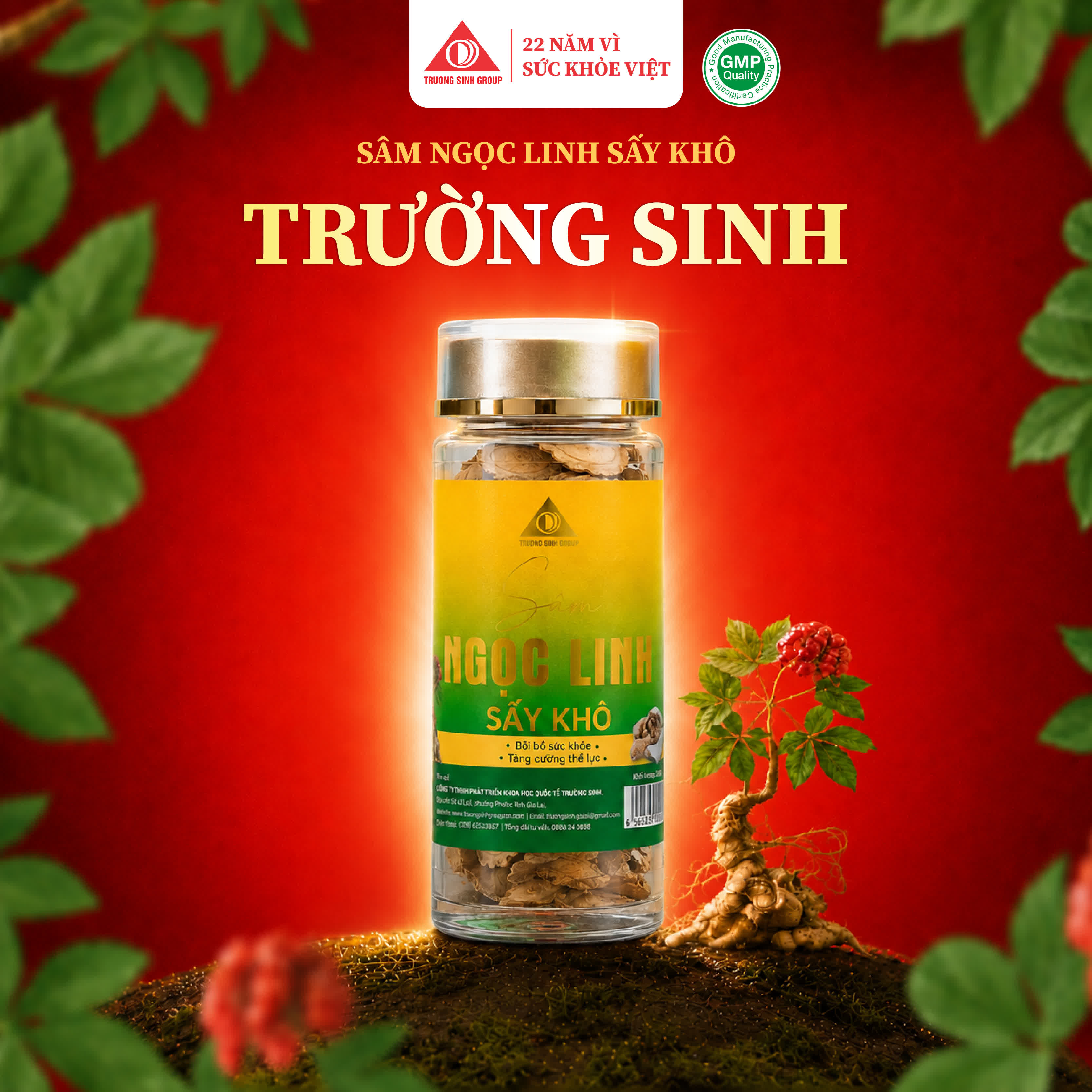 Sâm Ngọc Linh Sấy Khô 7g