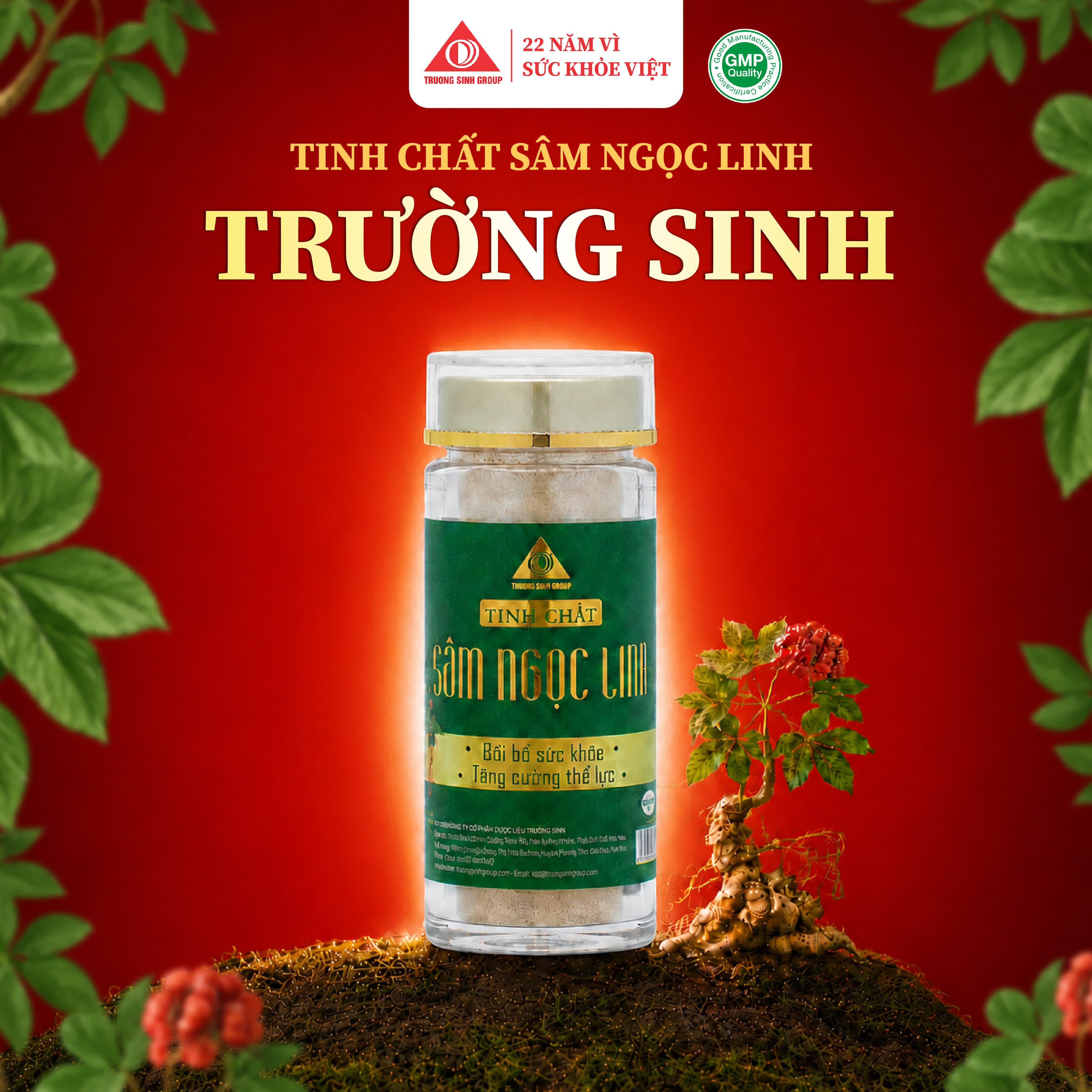 Tinh Chất Sâm Ngọc Linh