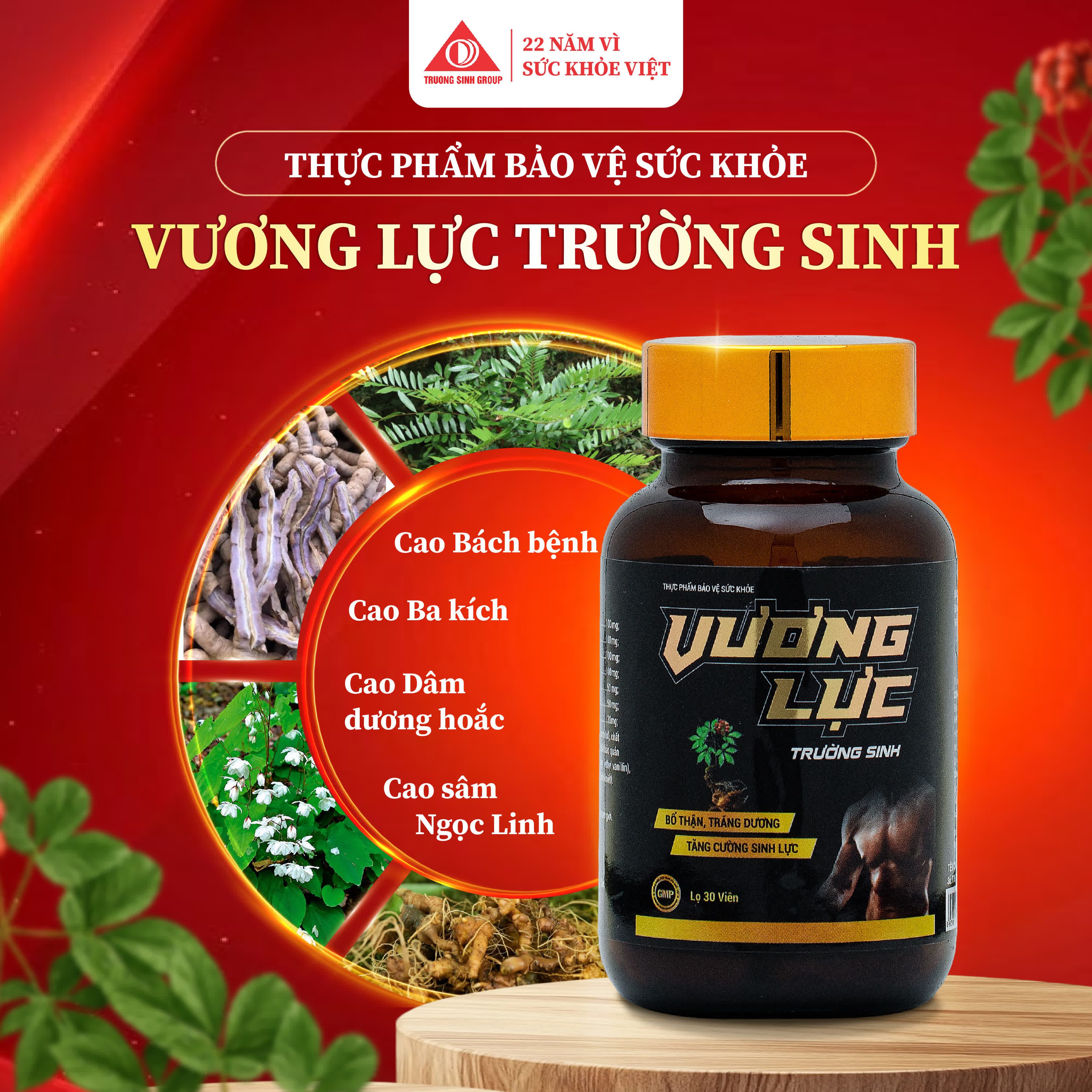 Vương Lực Trường Sinh 1