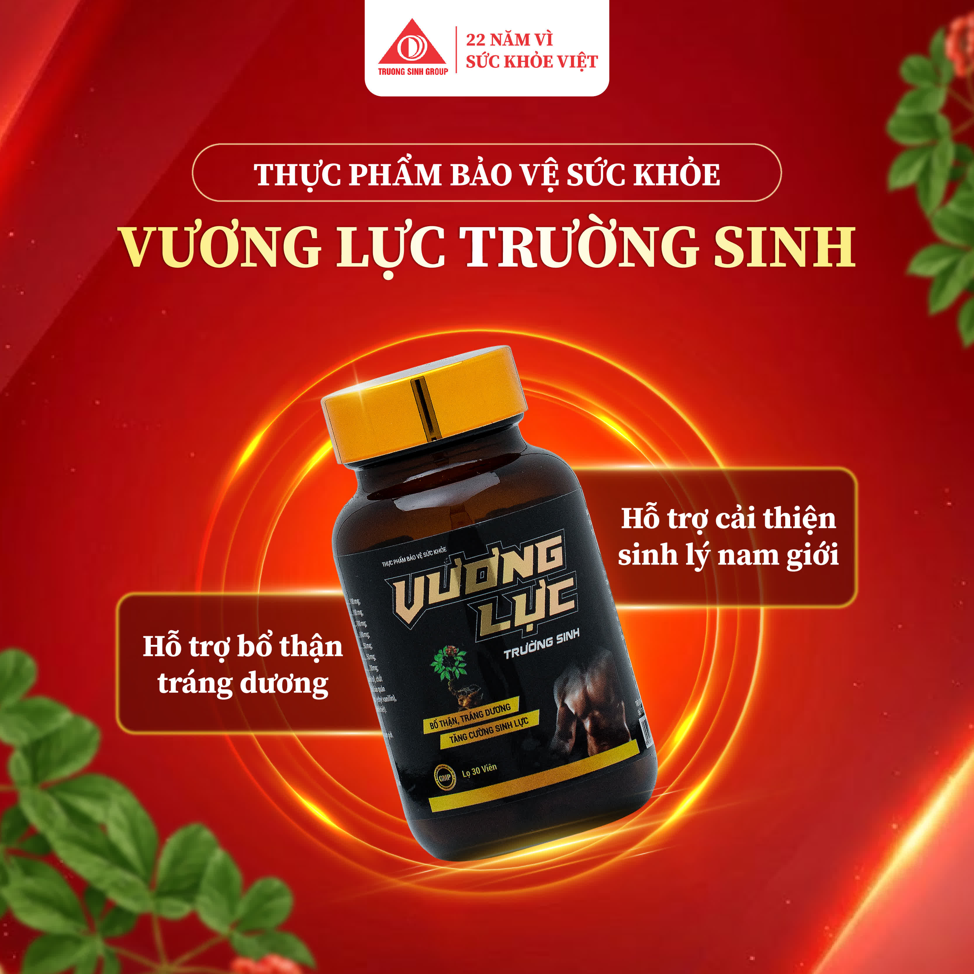 Vương Lực Trường Sinh 2