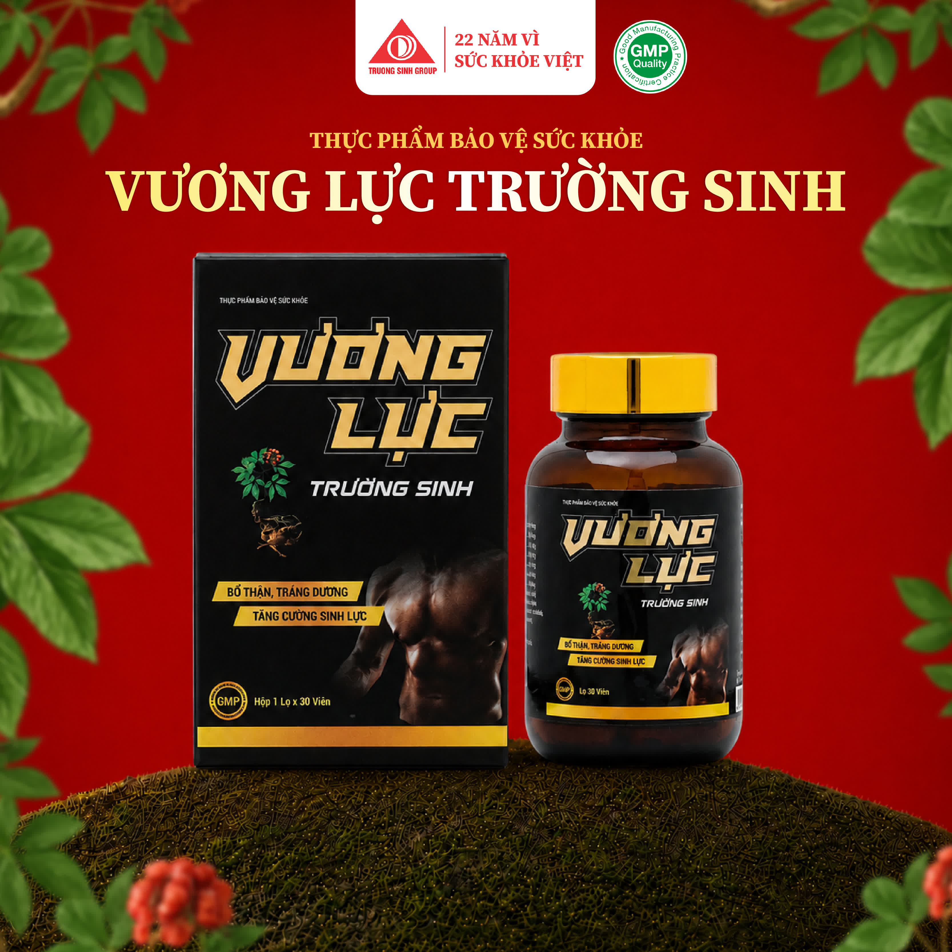 Vương Lực Trường Sinh 3